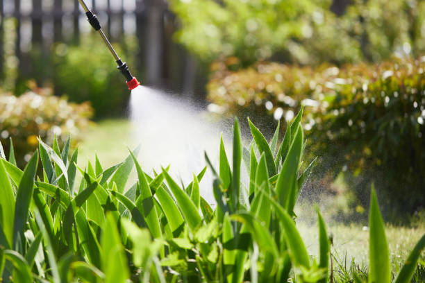 Tamper-Resistant Bait Stations for Rodents in Stanton