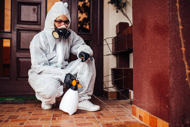 Attic and Crawl Space Rodent Treatment in Stanton